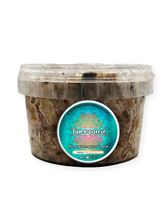 Kit de Culture Truffe Tampanensis - Découvrez la Gourmet...