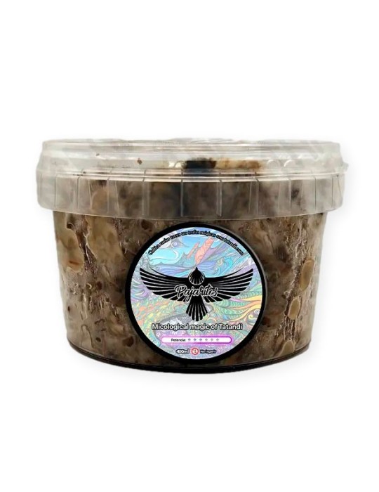 Grow Pajaritos Truffles at Home - Gourmet Delights Kit