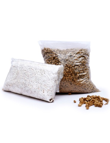 Kit de culture champignons - Facile et Durable