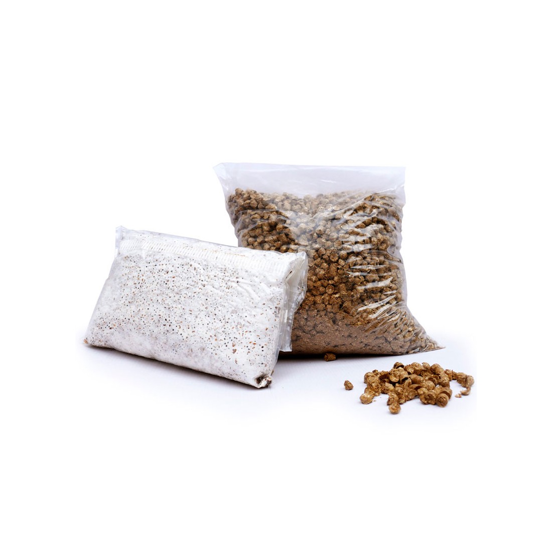 Pilzanbau Kit - Bio-Pilze zu Hause züchten