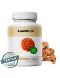 Extracto de hongo Agaricus blazei, 90 cápsulas vegetales de 500mg para apoyo inmunológico.