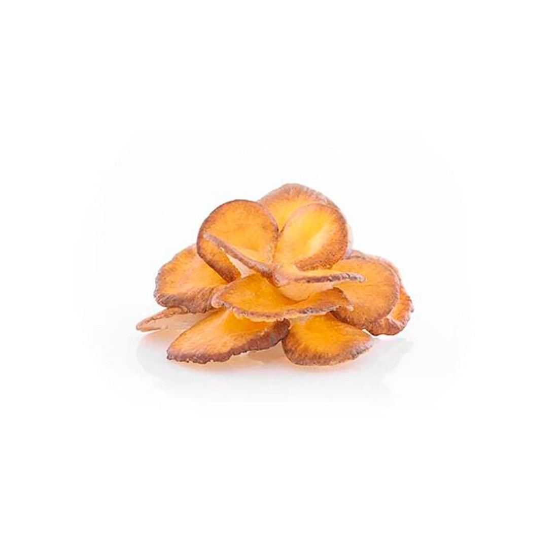 Maitake 90 caps ext.