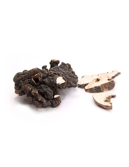 Polyporus 90 caps ext.