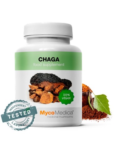 Chaga 90 caps ext.