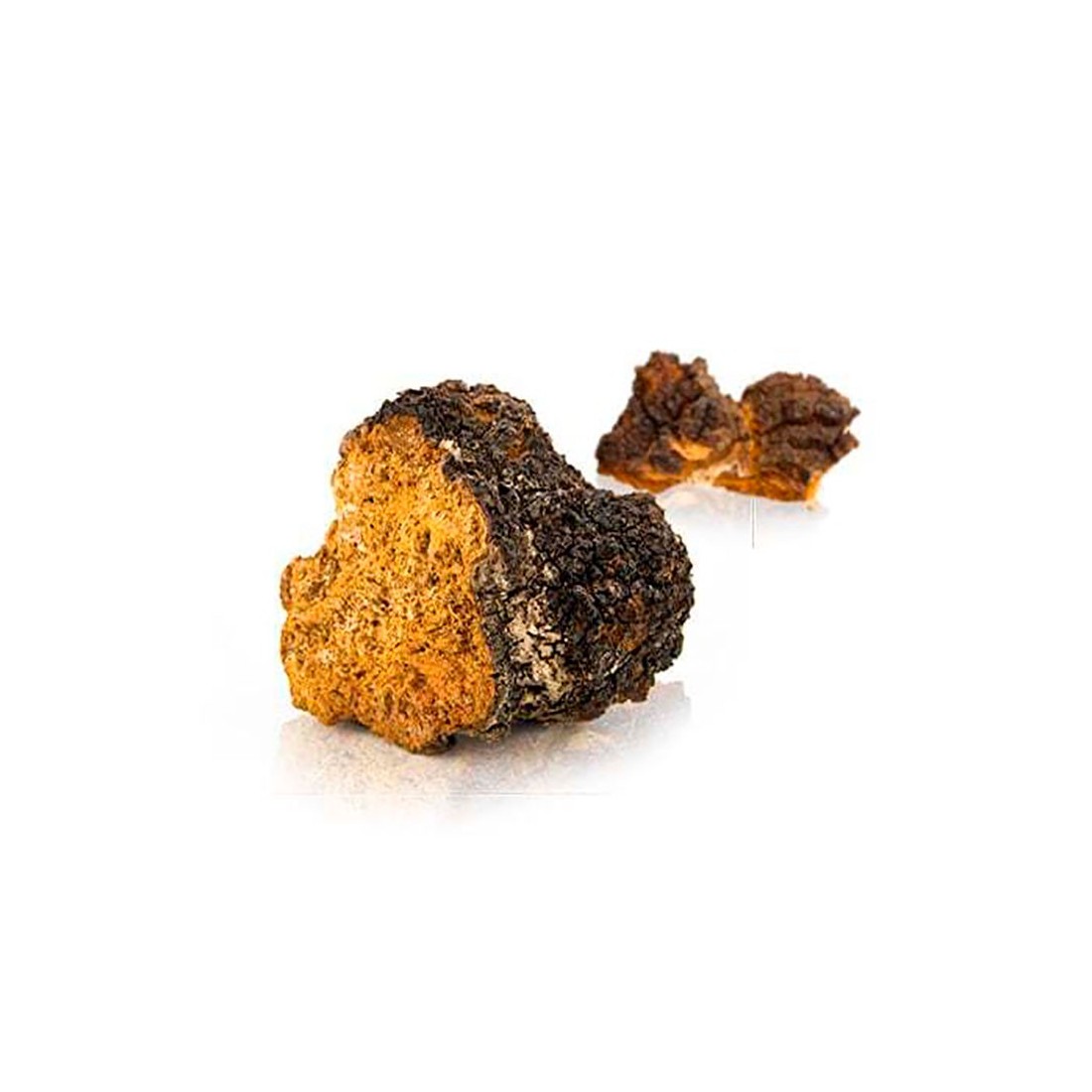 Chaga 90 caps ext. 50%
