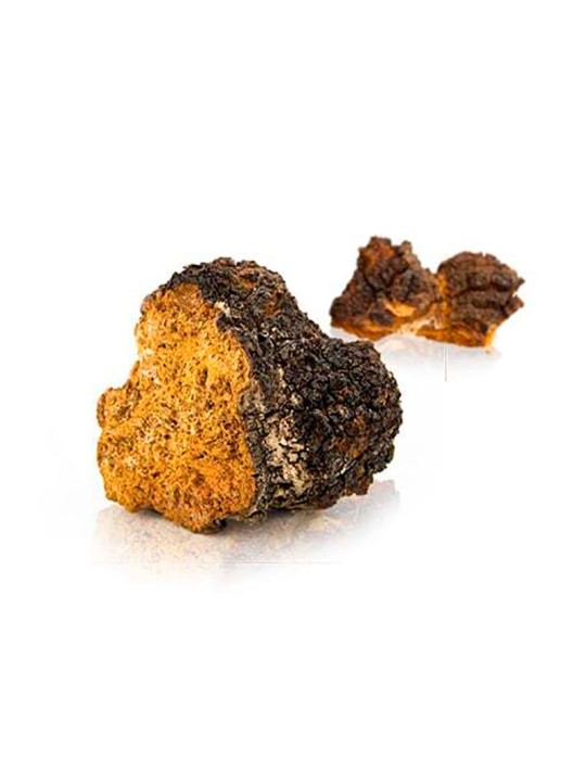 Chaga 90 caps ext. 50%