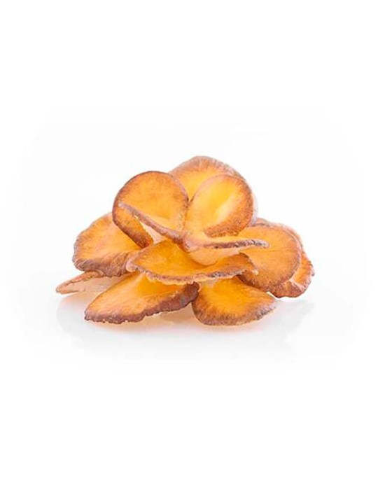 Maitake 90 caps ext. 50%