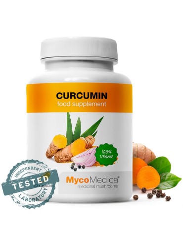 Curcumin 120 caps