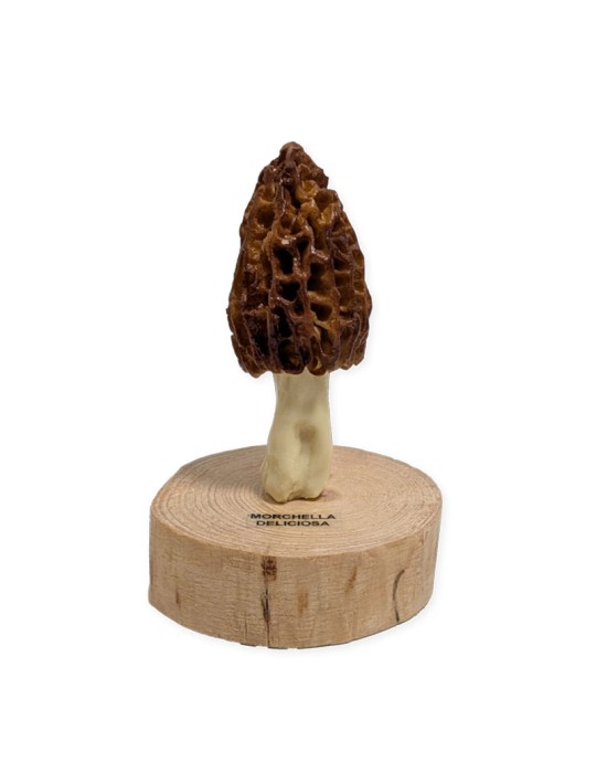 Resin Bee Nest Replicas - Authentic Nature Decor