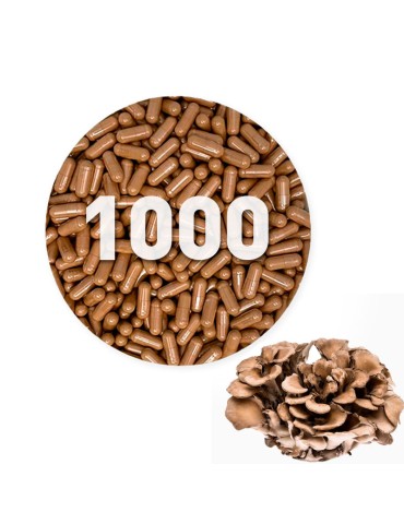 Gélules de Maitake biologique 450 mg en vrac