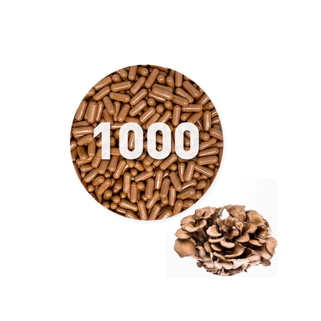 Capsule di Maitake biologico 450 mg sfuso