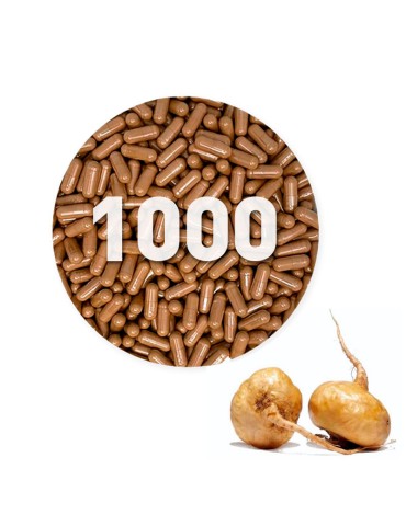 copy of Gélules de Shiitake biologique 450 mg en vrac