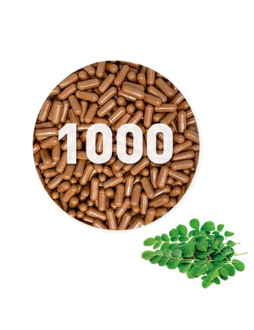 Organic Moringa Capsules 500mg