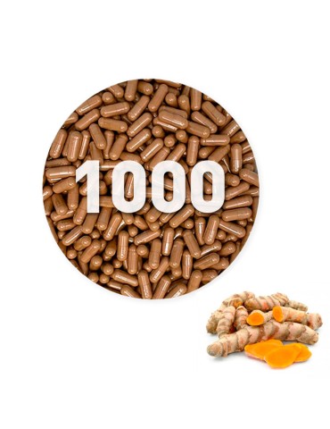 copy of Gélules de Shiitake biologique 450 mg en vrac