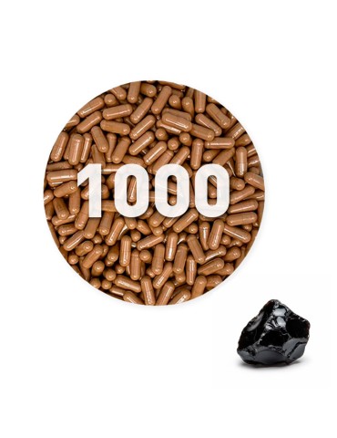Shilajit-Kapseln 1000 Stück