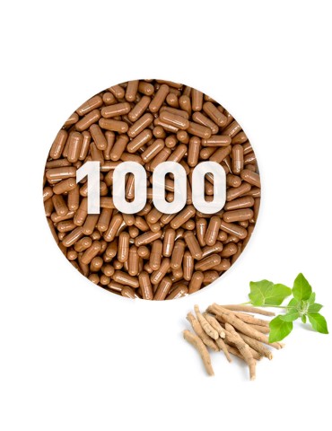 Capsule di Ashwagandha 500 mg ecologiche