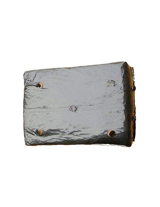 Alpaca de Seta de ostra, P. ostreatus, 17 kg