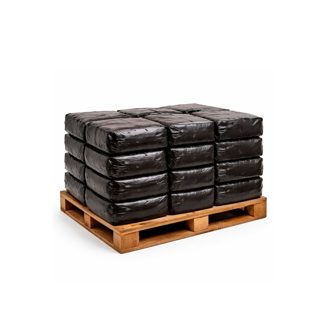 Austernpilz Alpaka 17kg - Einfach & Ökologisch Pilze Züchten