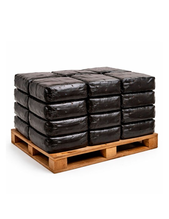 Alpaca Funghi Ostrica 17kg - Coltivazione Facile e...