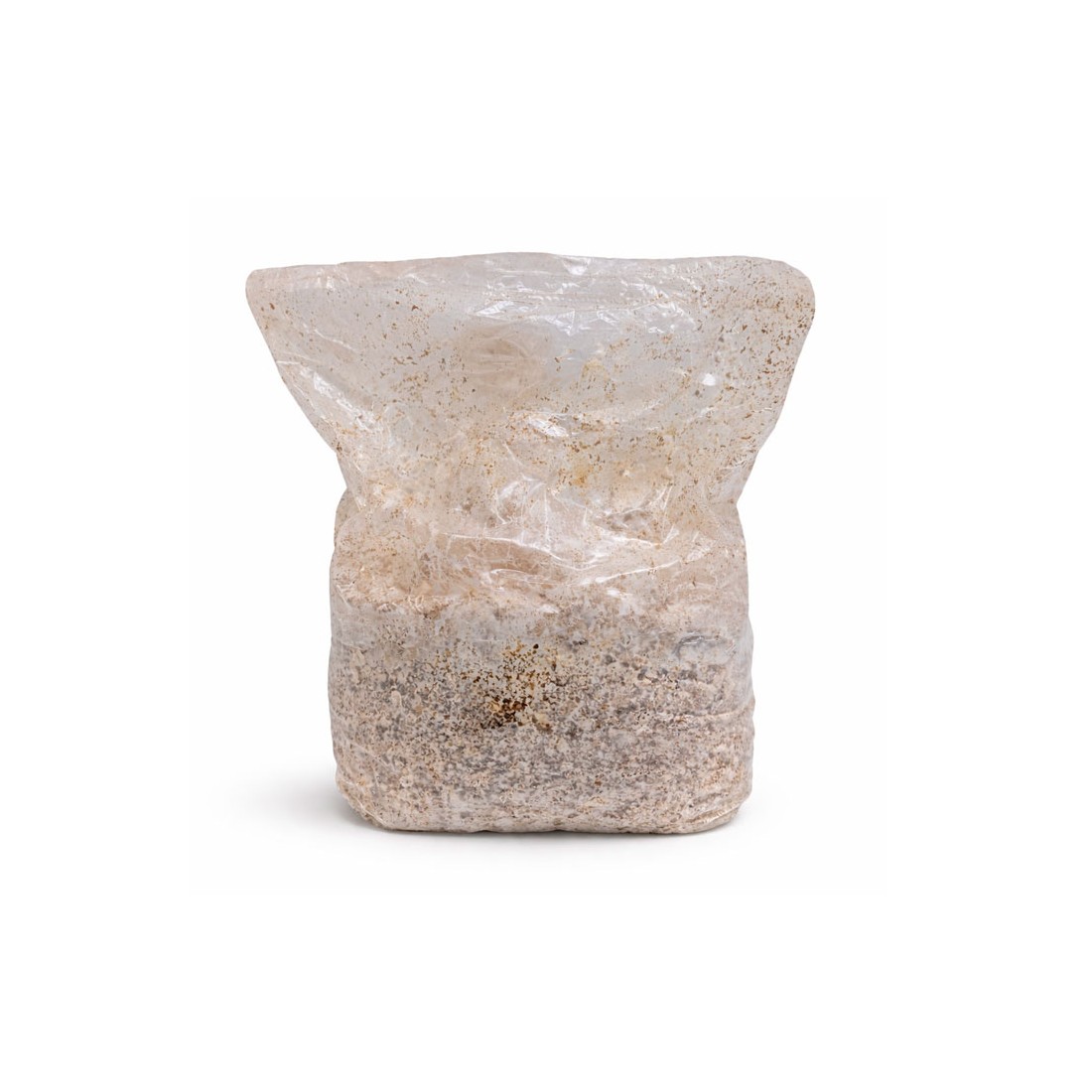 Kit de Cultivo de Setas | Fácil y Nutritivo