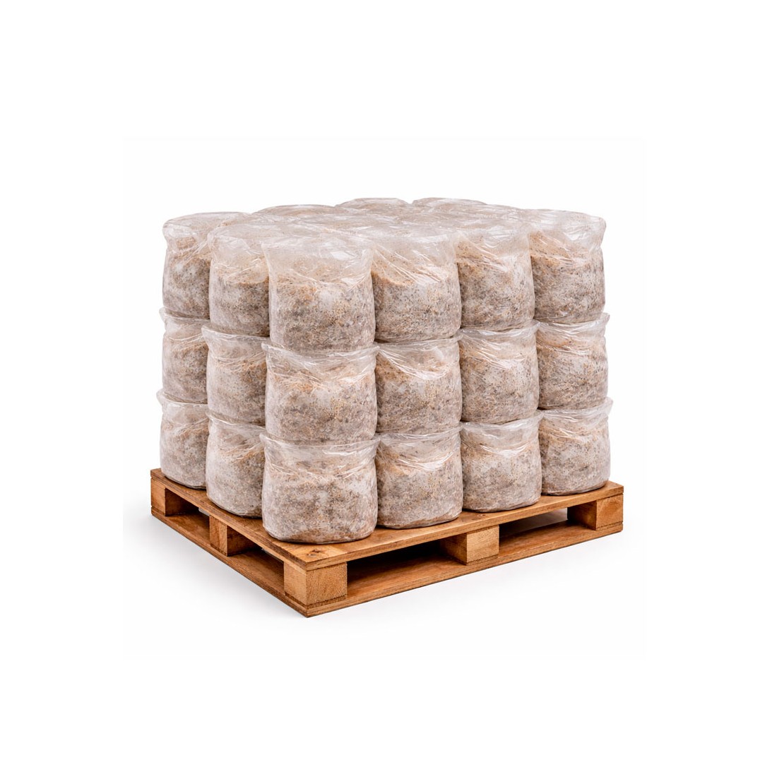 Oyster Mushroom Growing Kit - Easy Home Cultivation