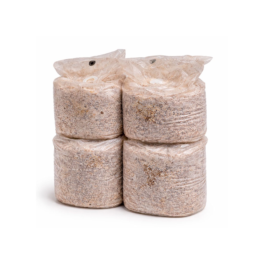 Kit de Cultivo de Castanhas-do-Pará - Fácil e Nutritivo