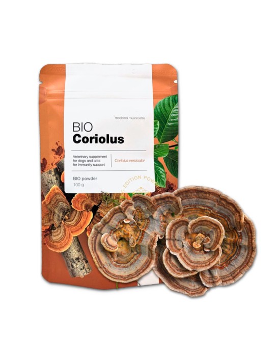 Cola de Pavo BIO Coriolus versicolor | Suplemento Natural