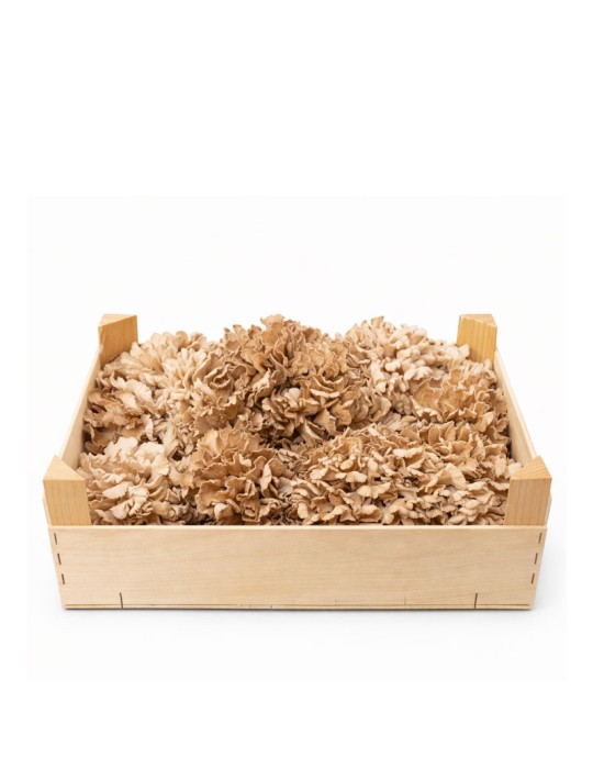 Melena de León Fresca - Hericium Erinaceus - 800gr