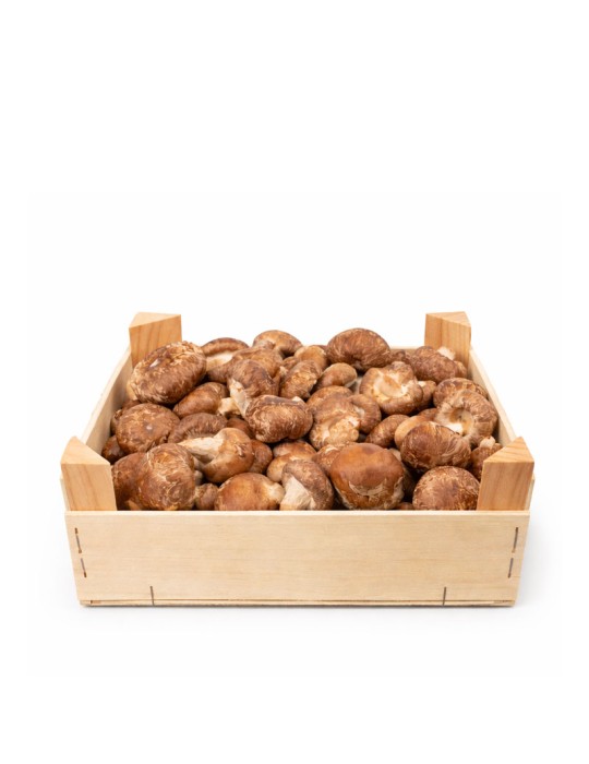 Lion's Mane Frais 800g - Hericium Erinaceus