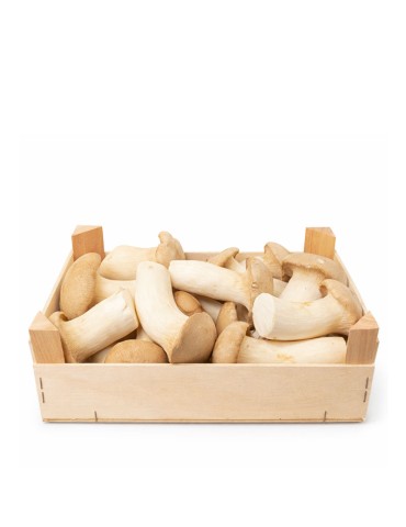 Fresh Lion's Mane Mushroom, 800g - Hericium Erinaceus 2