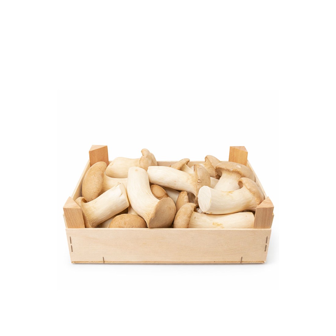 Melena de León Fresca - Hericium Erinaceus - 800gr