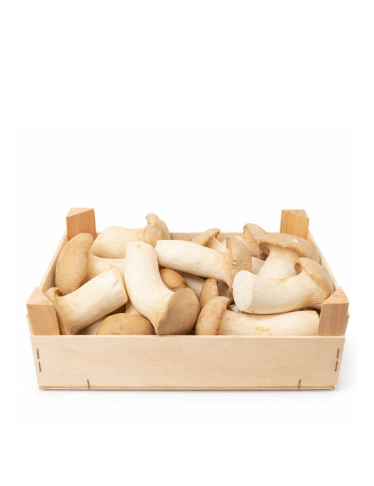 Frischer Löwenzahnpilz, 800g, Hericium erinaceus