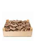 Frischer Bio-Austernpilz Pleurotus ostreatus aus ökologischem Anbau in den Pyrenäen.