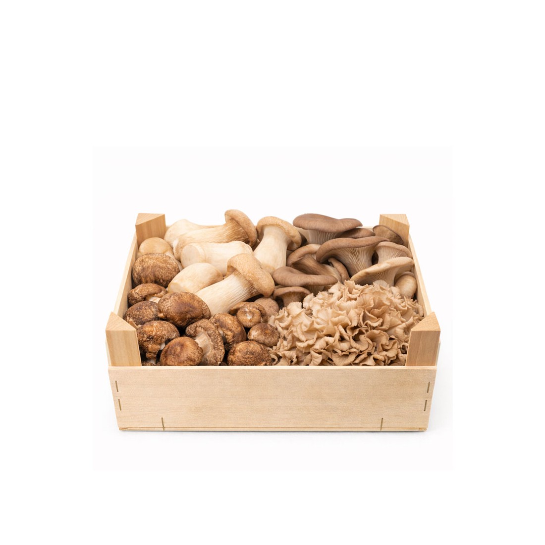 Frischer Löwenzahnpilz, 800g, Hericium erinaceus