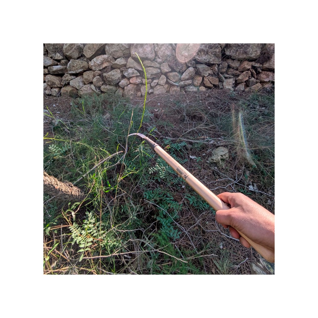 Asparagus Knife Flores Cortes - Precision & Comfort for...