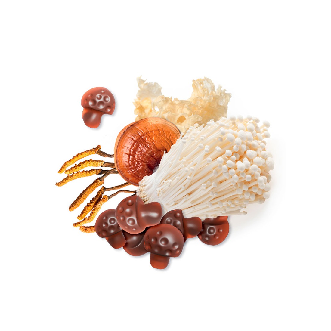 Gominolas marrones con forma de seta junto a hongos medicinales como Reishi y Enoki sobre un fondo blanco.