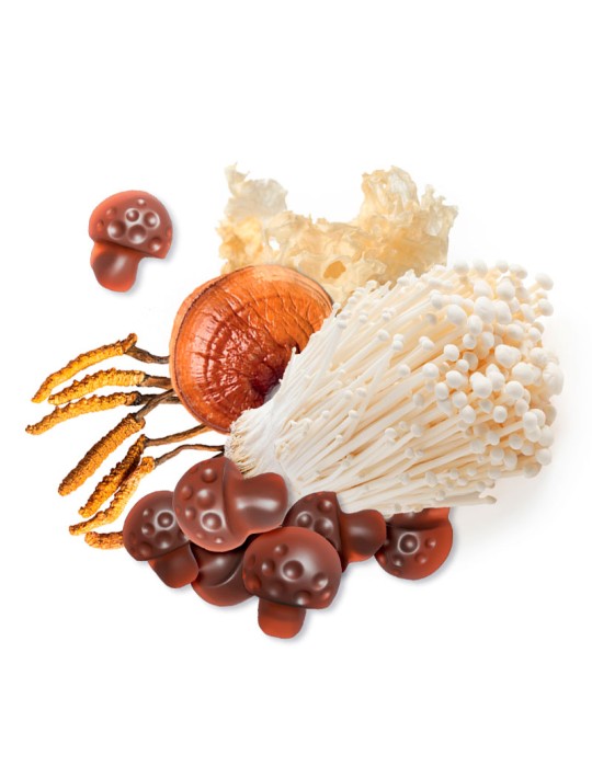 Gominolas marrones con forma de seta junto a hongos medicinales como Reishi y Enoki sobre un fondo blanco.