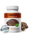 Coriolus 90 cápsulas 500mg, extrato puro de Coriolus versicolor com 40% polissacarídeos, uso veterinário.