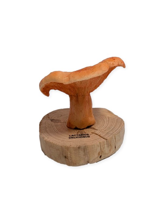 Réplica de Lactarius deliciosus | níscalo policromado artesanal
