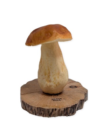 Réplica Boletus Edulis Realista Decoración