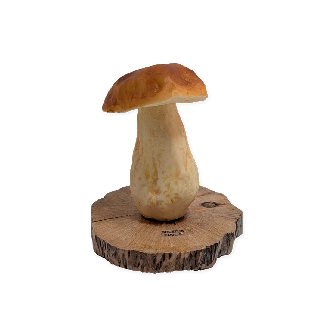 Réplique Boletus Edulis - Décoration Naturelle Réaliste