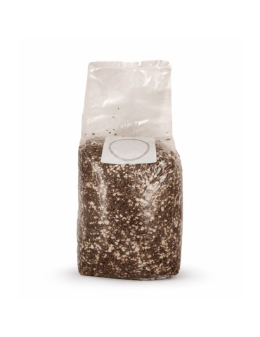 Substrat de fibre de coco stérile avec vermiculite pour la culture de champignons en sac filtrant.