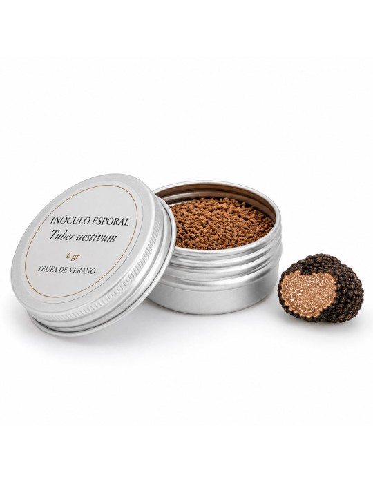 Inoculo sporale secco - Tuber melanosporum