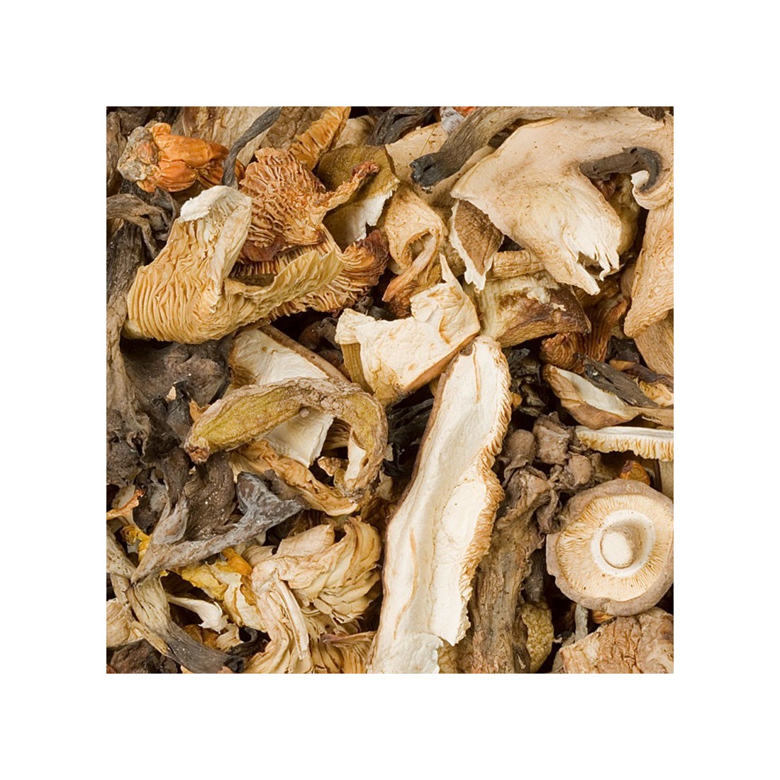 Getrocknete Pilzmischung: Shiitake, Austernpilze, Champignons und Steinpilze.