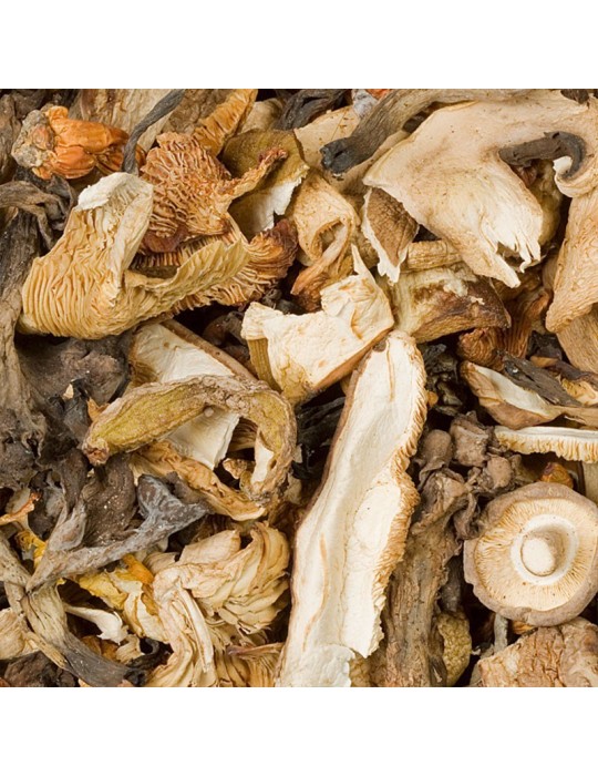 Getrocknete Pilzmischung: Shiitake, Austernpilze, Champignons und Steinpilze.