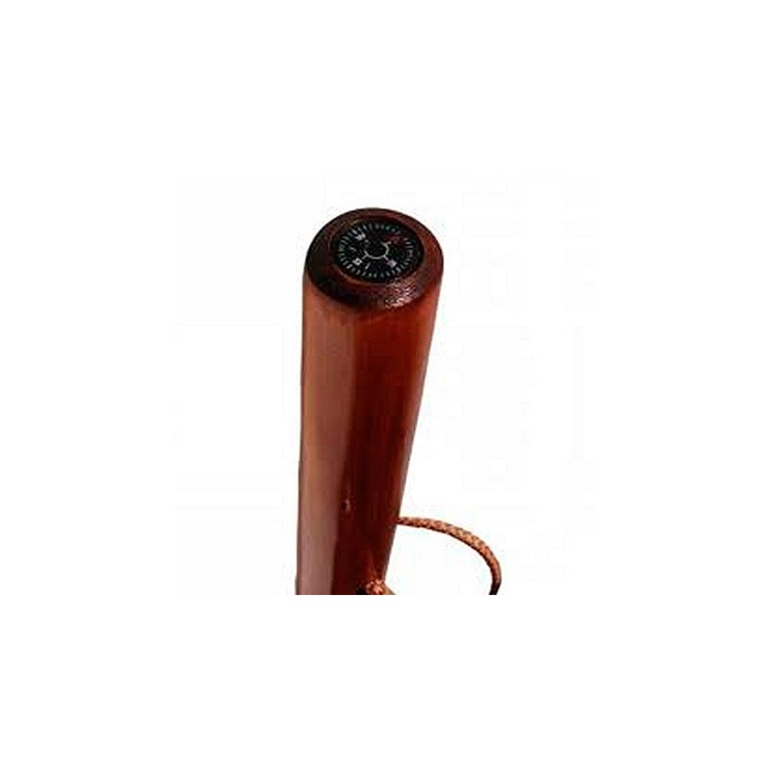 Wooden cane with compass