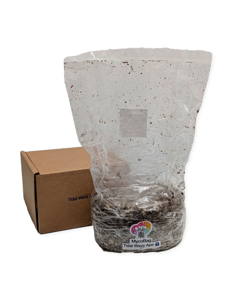 Automatic Albino Jedi Mind Fuck AJMF MycoBag | 400 g and 1200 g