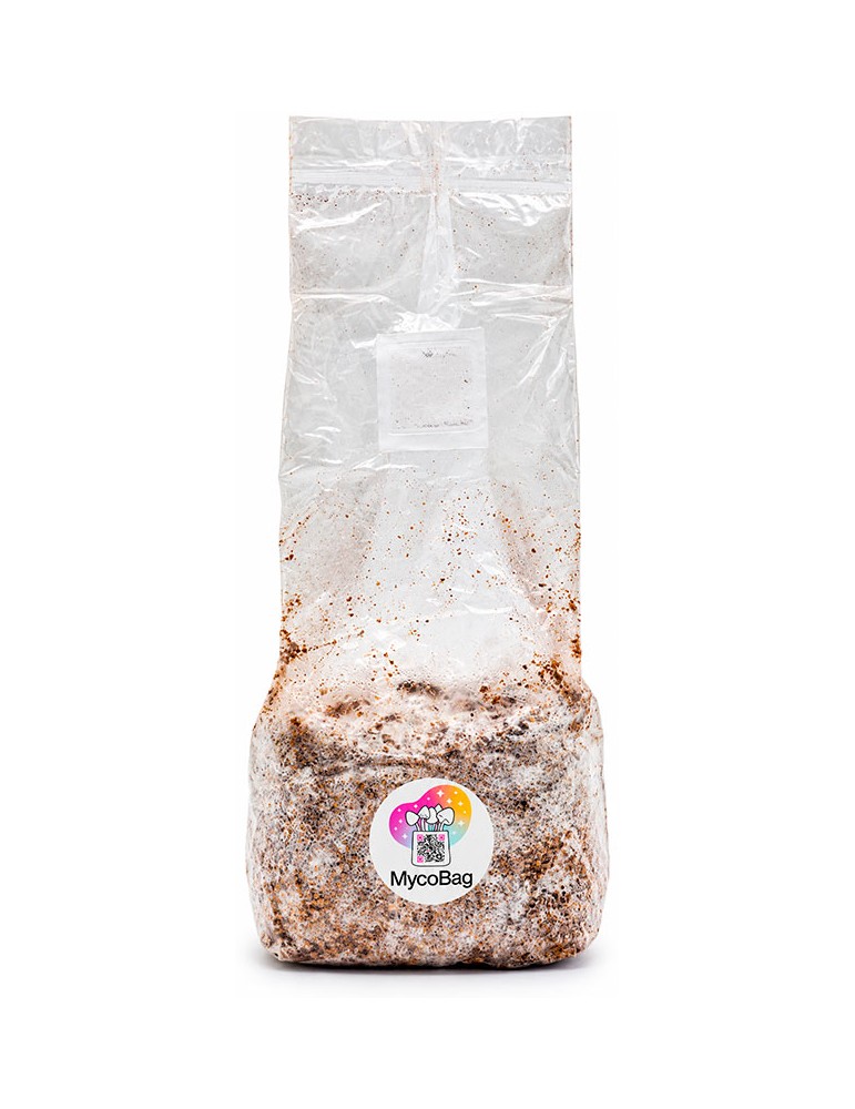 Automatisches MycoBag von Albino Jedi Mind Fuck AJMF | 400 g und 1200 g