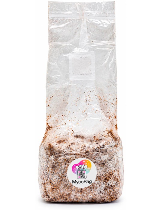 MycoBag Mac Galactic | Sac de culture automatique pour débutants 400 g et 1200 g
