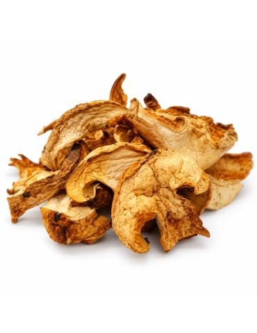 Dried Perrechicos - Gourmet Mushrooms for Any Dish